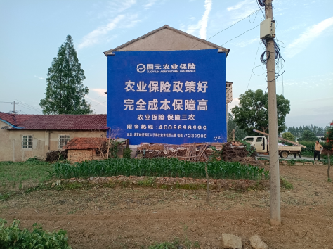 城步墙体广告为何受追捧？